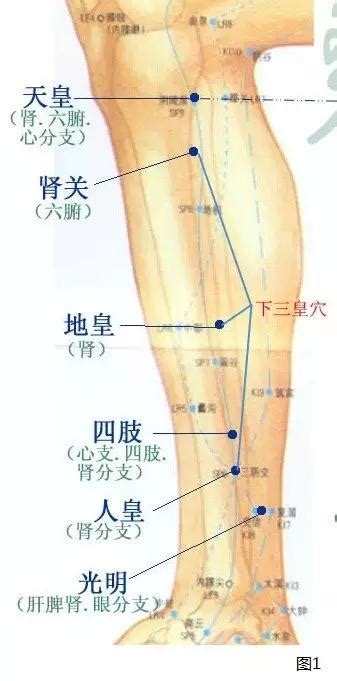 下三皇穴位|三皇的准确位置图和作用